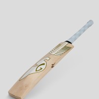 SG Sunny Gold Classic English Willow Cricket Bat, SH