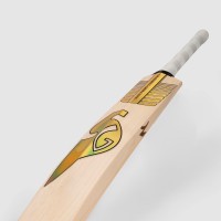SG Sunny Gold Icon English Cricket Bat, SH