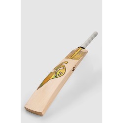 SG Sunny Gold Icon English Cricket Bat, SH
