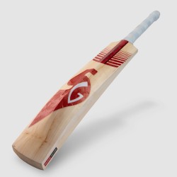 SG Sunny Tonny Xtreme English Willow Cricket Bat, SH