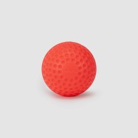 SG Swinga Cricket ball (Pink)