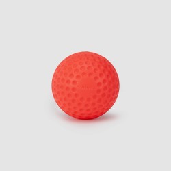 SG Swinga Cricket ball (Pink)