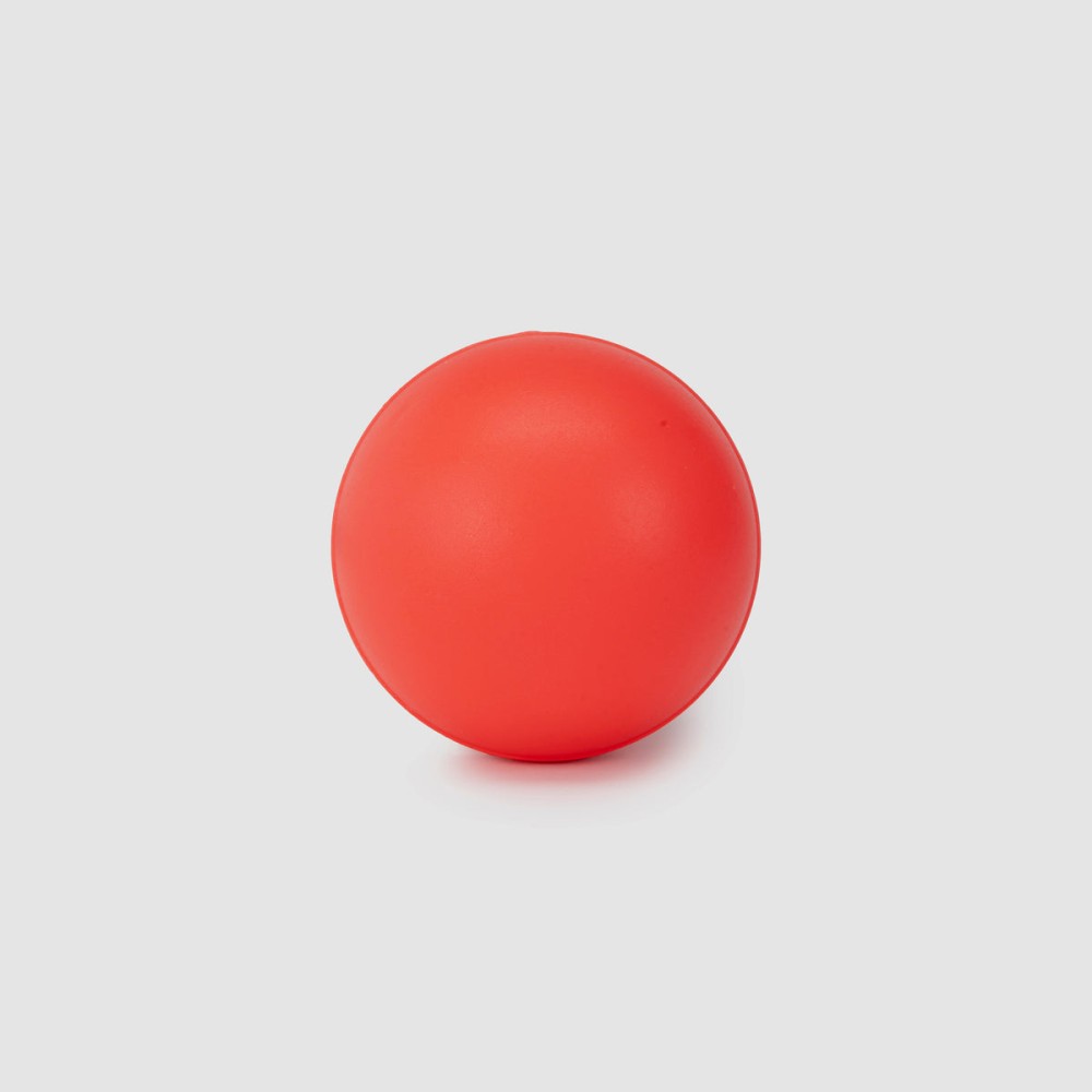 SG Swinga Cricket ball (Pink)