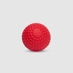 SG Swinga Cricket ball (Red)