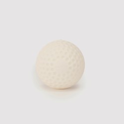 SG Swinga Cricket ball (White)