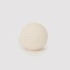 SG Swinga Cricket ball (White)
