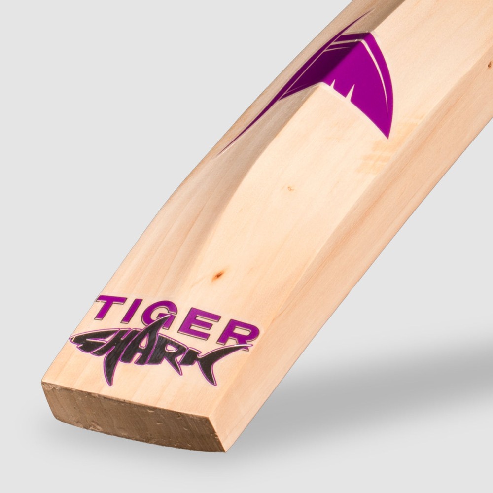 SG Tiger Shark English Willow bat, SH