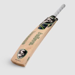 SG Titan 3.0 Kashmir Willow Bat, SH