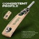 SG Titan 3.0 Kashmir Willow Bat, SH