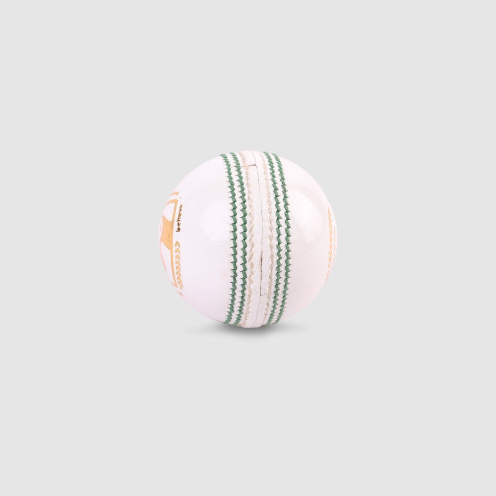 SG Tournament White Cricket Leather Ball, Adult