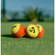 SG X ISPL Tennis Cricket Ball