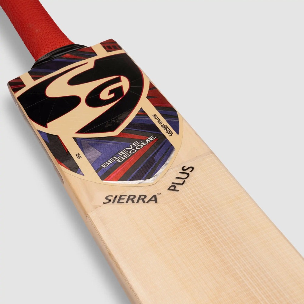 SG Sierra Plus Kashmir Willow Cricket Bat, 3