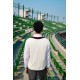 SG Signature Sleeveless Pullover (Maroon), S, White/ Maroon/ Navy