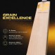 SG Sunny Gold® Finest English Willow grade 2 Cricket Bat (Leather Ball), Full-Size