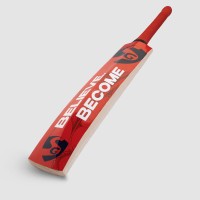 SG Thunder Plus Kashmir Willow Cricket Bat, 3