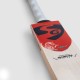SG Thunder Striker English Willow Cricket Bat, 3