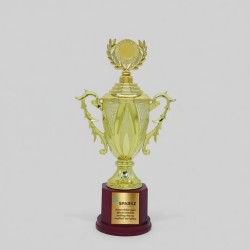 Custom made Fiber Trophy CMTR0005 Custom made Fiber Trophy CMTR0005