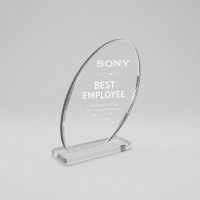 Custom made Acrylic Trophy CMTR0006