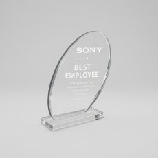 Acrylic Trophies Acrylic Trophies