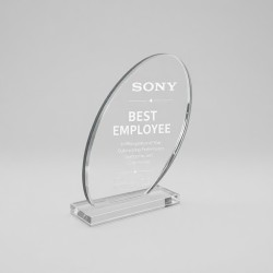 Custom made Acrylic Trophy CMTR0006 Custom made Acrylic Trophy CMTR0006